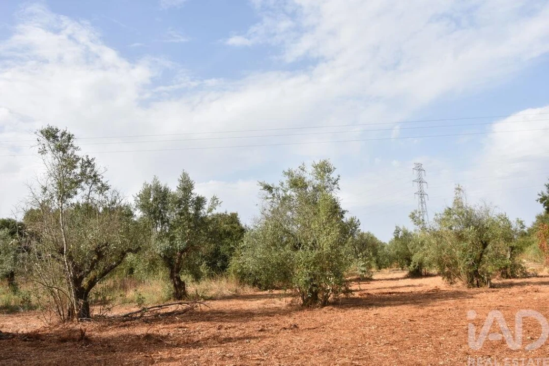 Terreno para Venda em Nossa Senhora do Pranto Foto 13