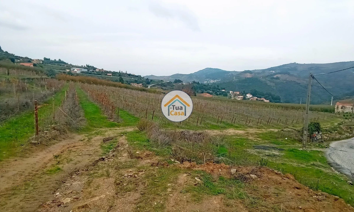 Quinta para Venda em Cepões, Meijinhos e Melcões Foto 27