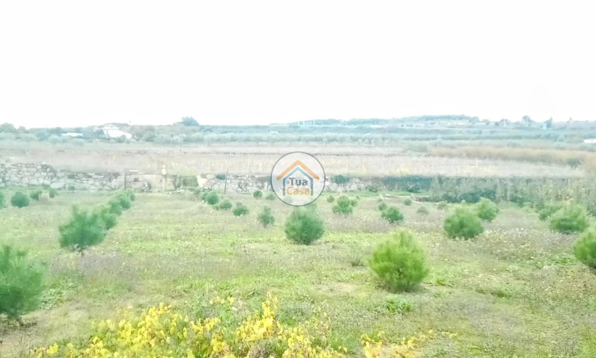 Quinta para Venda em Cepões, Meijinhos e Melcões Foto 35