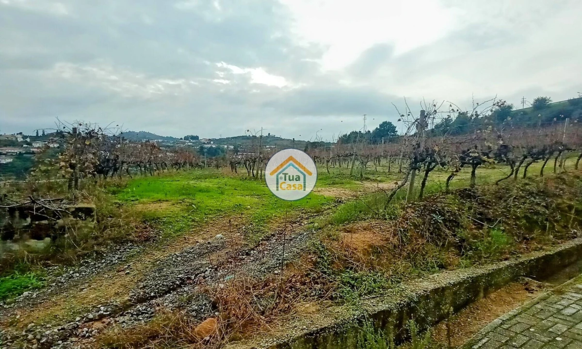Quinta para Venda em Cepões, Meijinhos e Melcões Foto 22