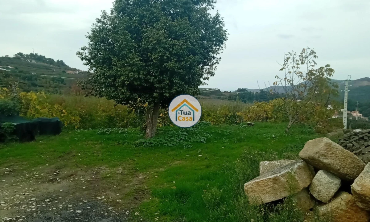 Quinta para Venda em Cepões, Meijinhos e Melcões Foto 36