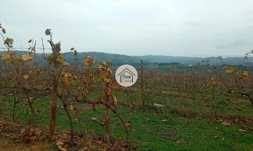 Quinta para Venda em Cepões, Meijinhos e Melcões Foto 44