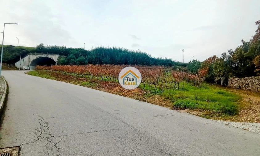 Quinta para Venda em Cepões, Meijinhos e Melcões Foto 21