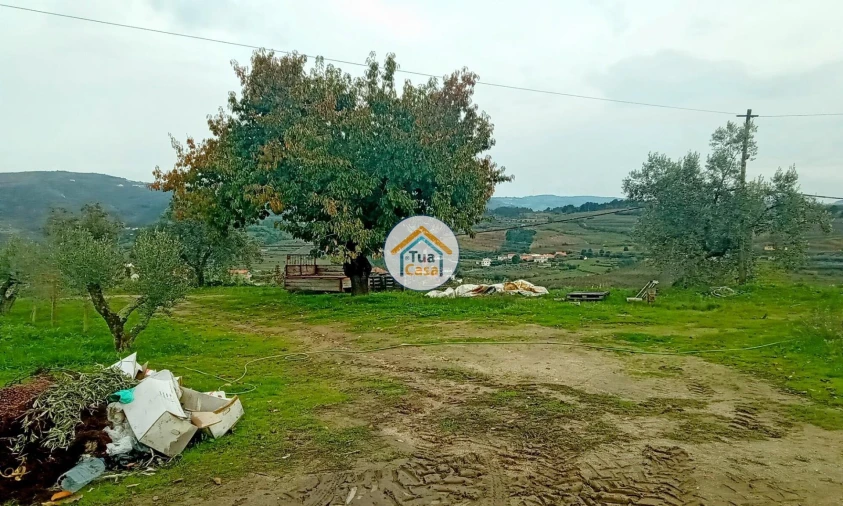 Quinta para Venda em Cepões, Meijinhos e Melcões Foto 25