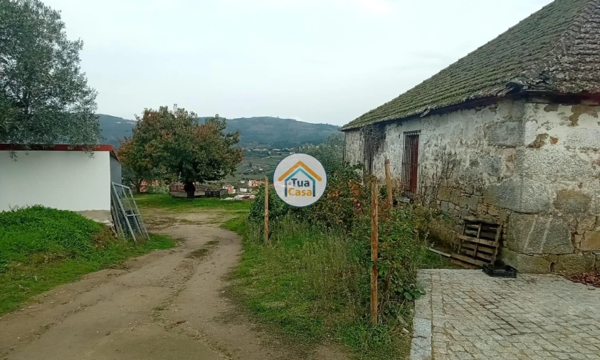Quinta para Venda em Cepões, Meijinhos e Melcões Foto 6