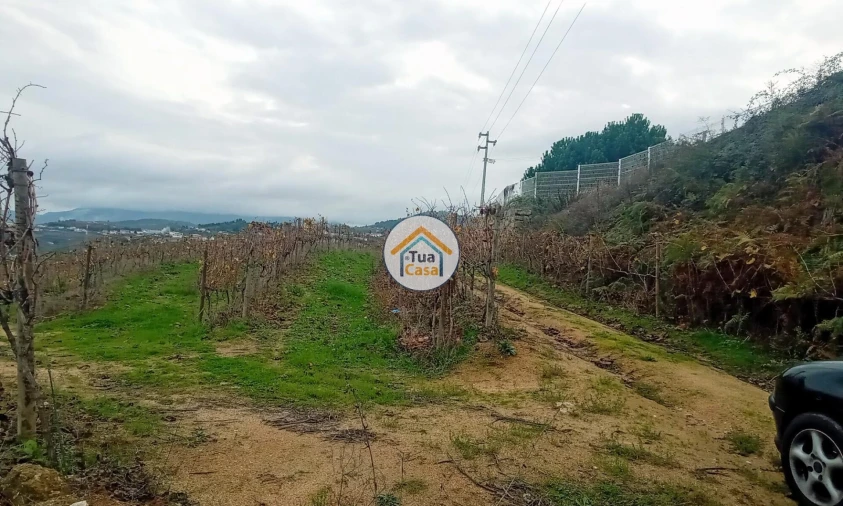 Quinta para Venda em Cepões, Meijinhos e Melcões Foto 24