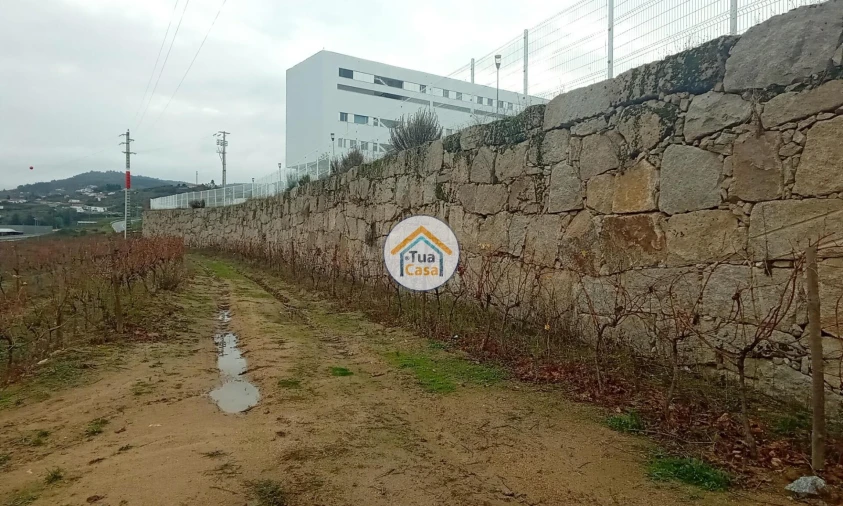 Quinta para Venda em Cepões, Meijinhos e Melcões Foto 43