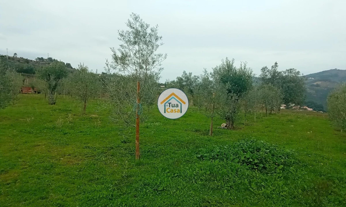 Quinta para Venda em Cepões, Meijinhos e Melcões Foto 38