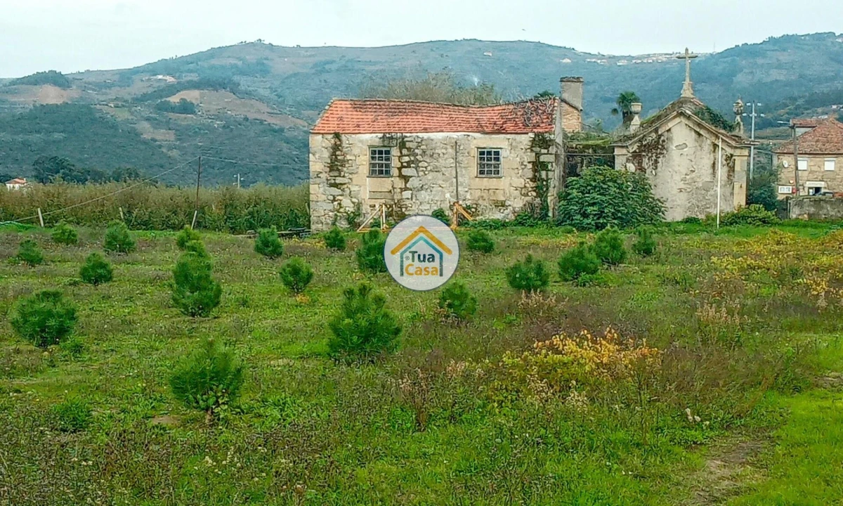Quinta para Venda em Cepões, Meijinhos e Melcões Foto 3