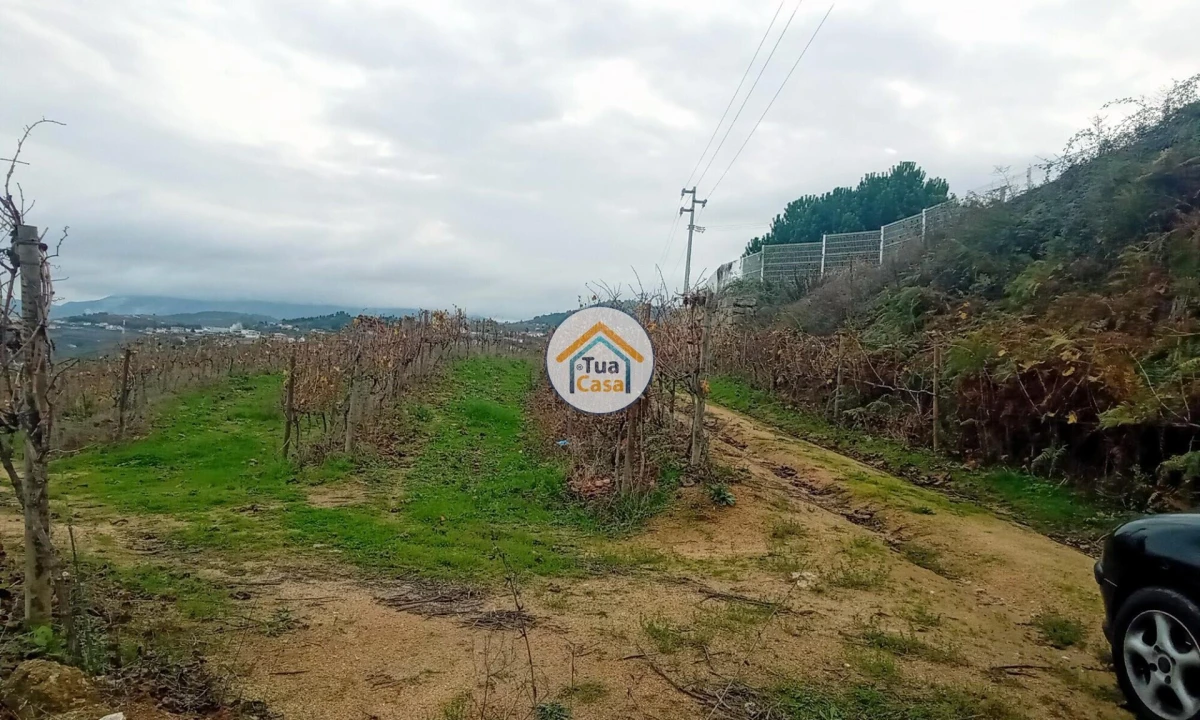 Quinta para Venda em Cepões, Meijinhos e Melcões Foto 24