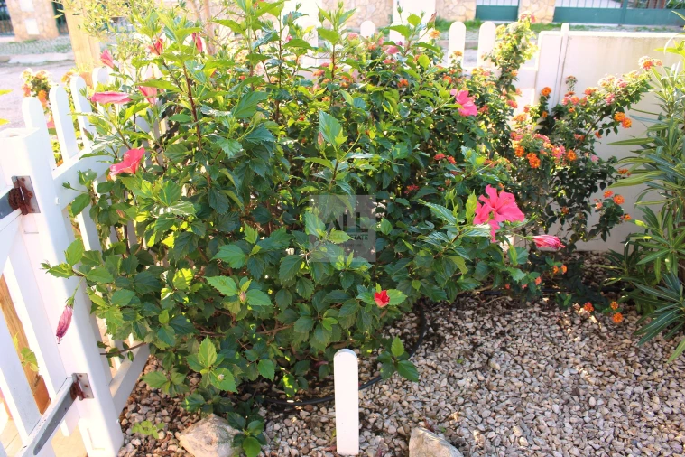 Moradia T4 para Venda em Lagos (São Sebastião e Santa Maria) Foto 59