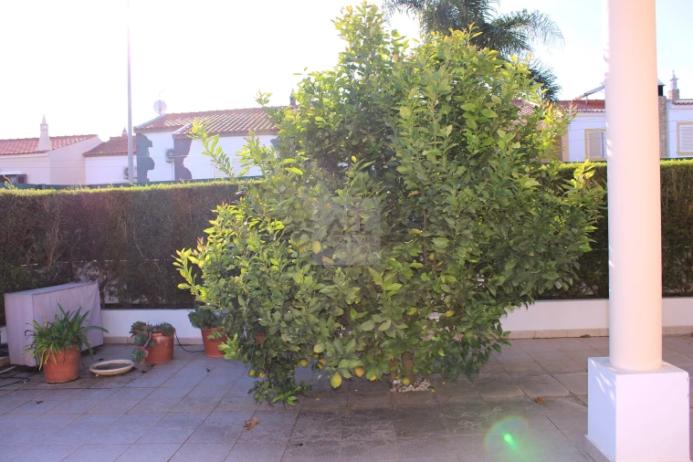 Moradia T4 para Venda em Lagos (São Sebastião e Santa Maria) Foto 13