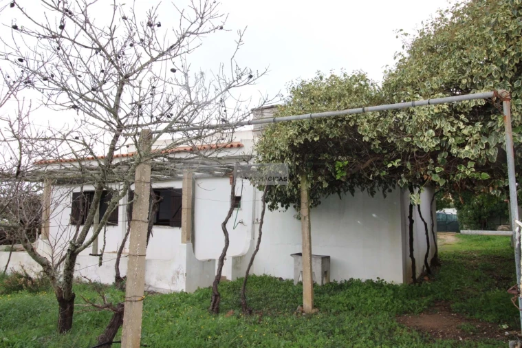 Quinta T3 para Venda em Luz Foto 39