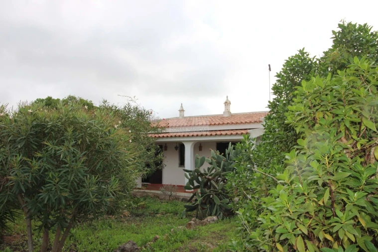 Quinta T3 para Venda em Luz Foto 44