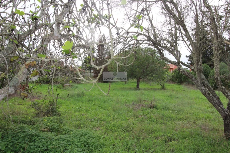 Quinta T3 para Venda em Luz Foto 43