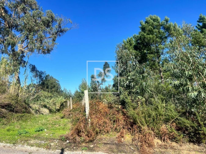 Terreno para Venda em Santa Marinha e São Pedro da Afurada Foto 11