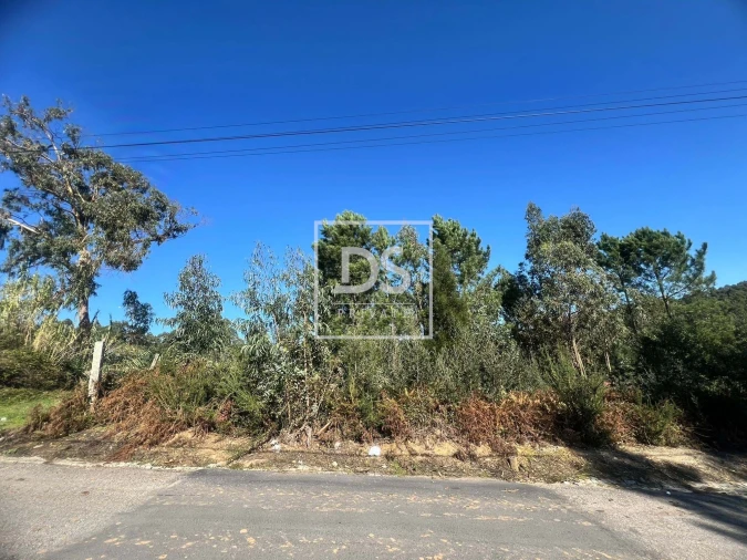 Terreno para Venda em Santa Marinha e São Pedro da Afurada Foto 6