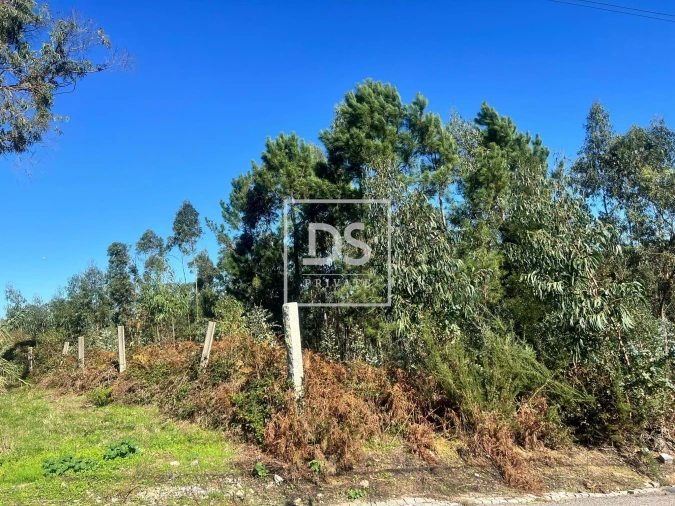 Terreno para Venda em Santa Marinha e São Pedro da Afurada Foto 5