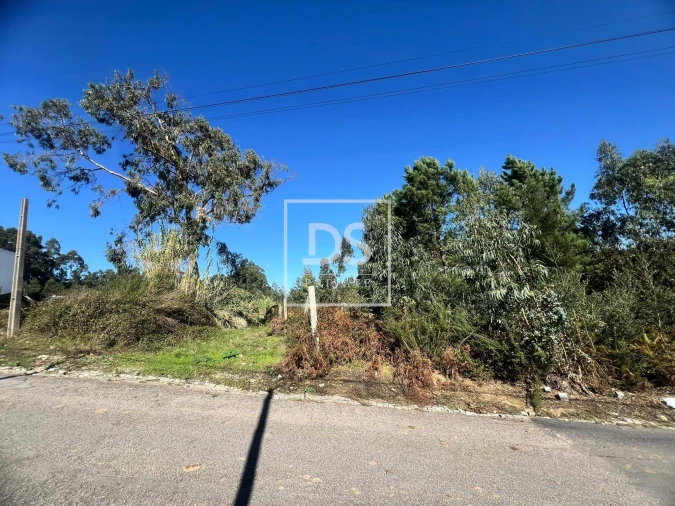Terreno para Venda em Santa Marinha e São Pedro da Afurada Foto 2