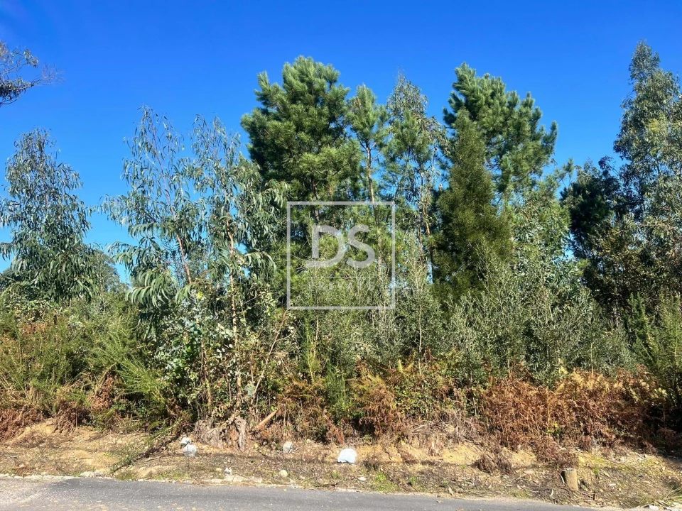 Terreno para Venda em Santa Marinha e São Pedro da Afurada Foto 10