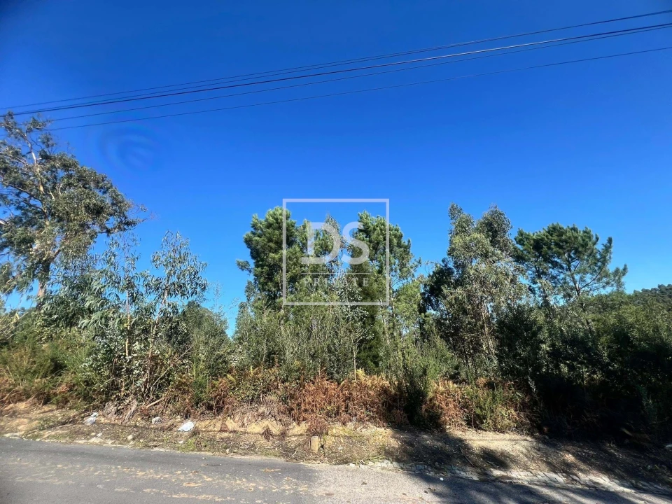 Terreno para Venda em Santa Marinha e São Pedro da Afurada Foto 3