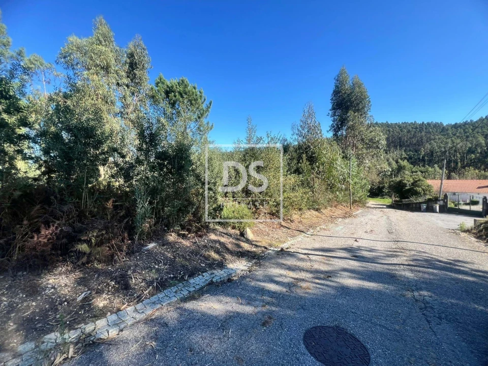 Terreno para Venda em Santa Marinha e São Pedro da Afurada Foto 7