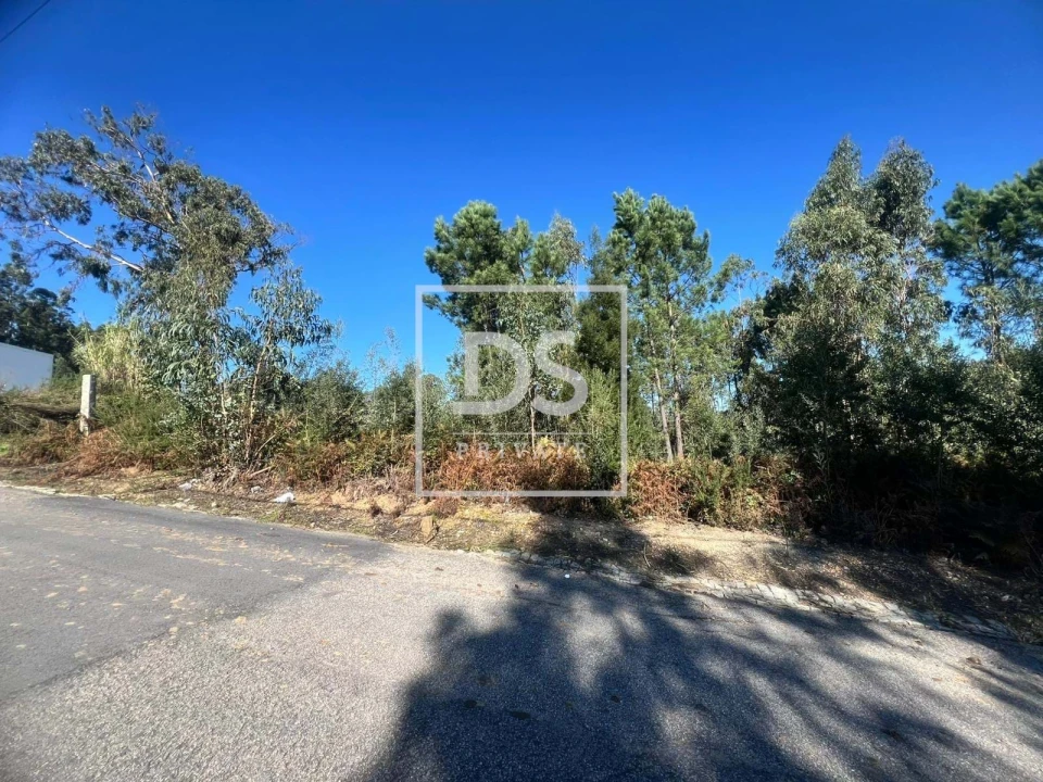 Terreno para Venda em Santa Marinha e São Pedro da Afurada Foto 8