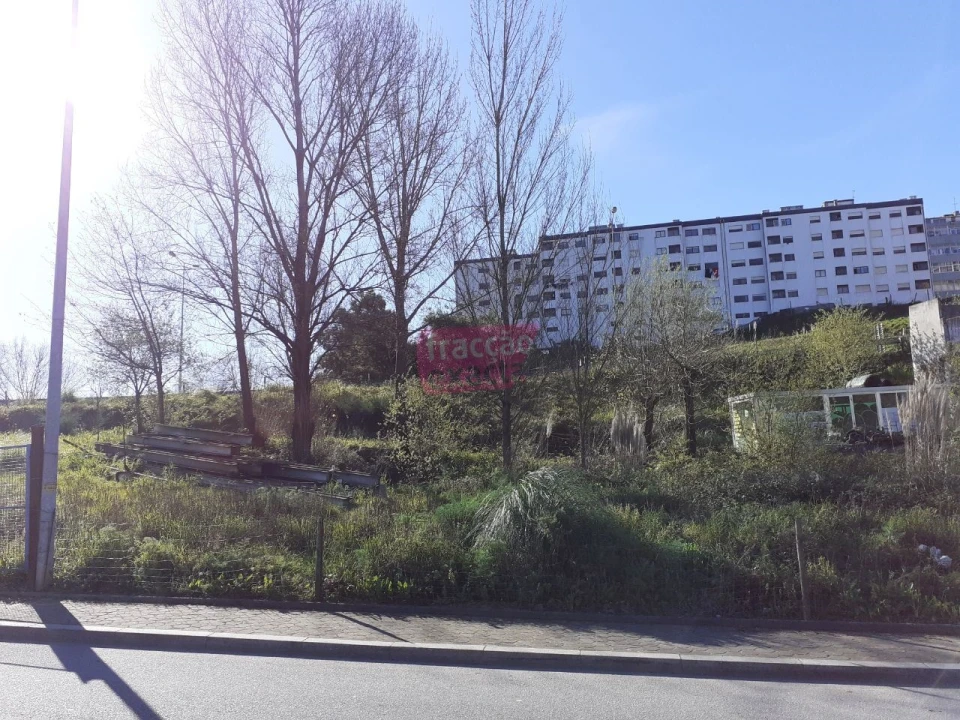 Terreno Agricola ou Rústico para Venda em Oliveira do Douro Foto 2