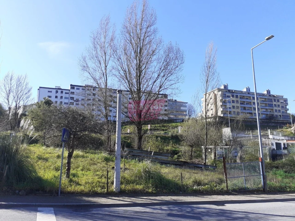 Terreno Agricola ou Rústico para Venda em Oliveira do Douro Foto 1