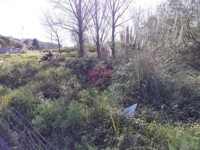 Terreno Agricola ou Rústico para Venda em Oliveira do Douro Foto 4