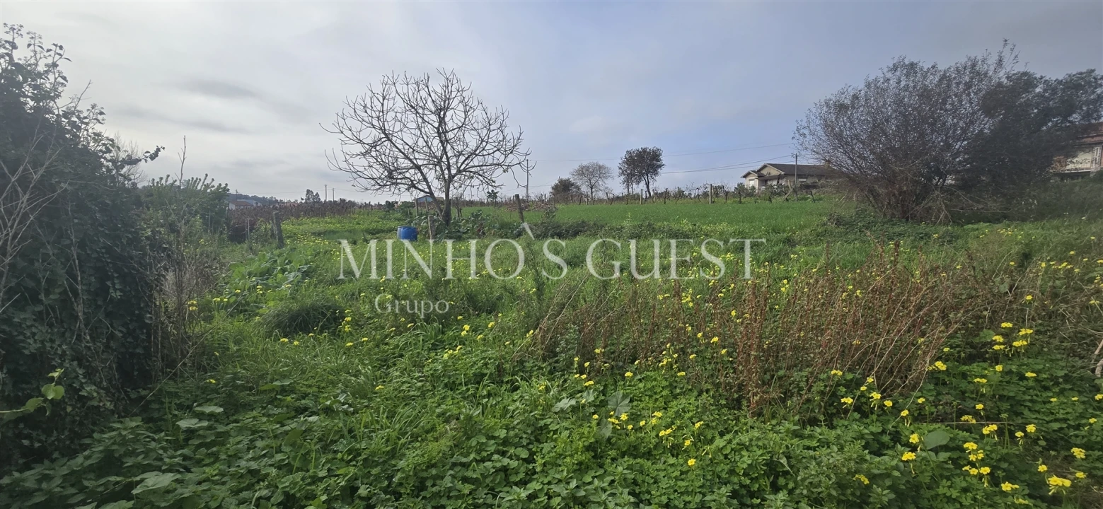 Terreno para Venda em Salreu Foto 8