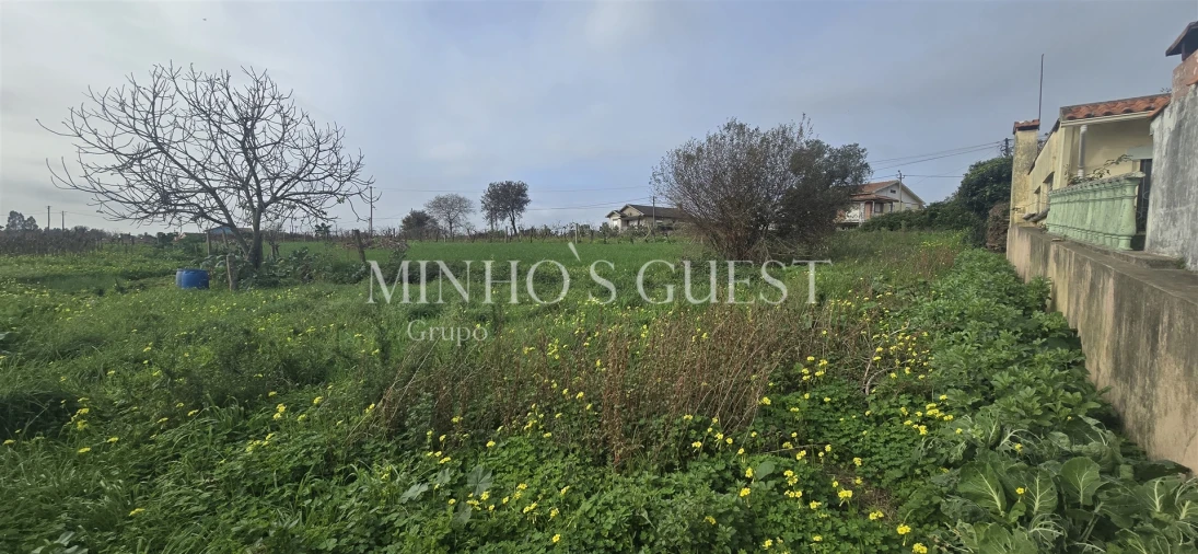 Terreno para Venda em Salreu Foto 7