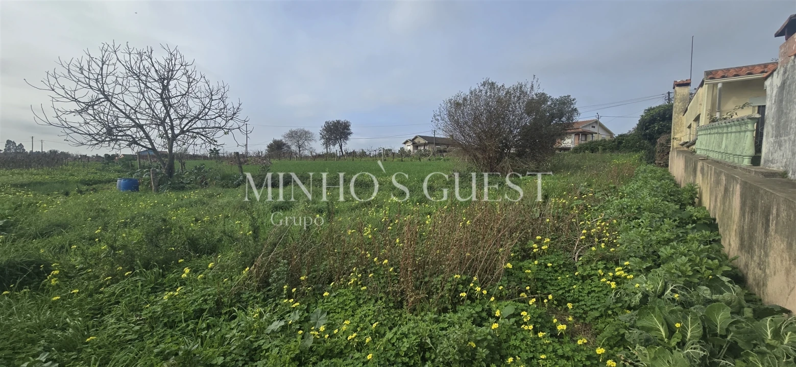 Terreno para Venda em Salreu Foto 7