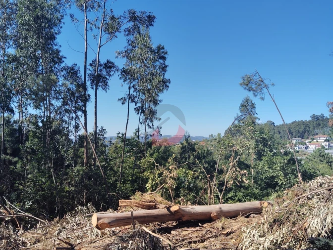 Terreno Agricola ou Rústico para Venda em São Martinho de Sardoura