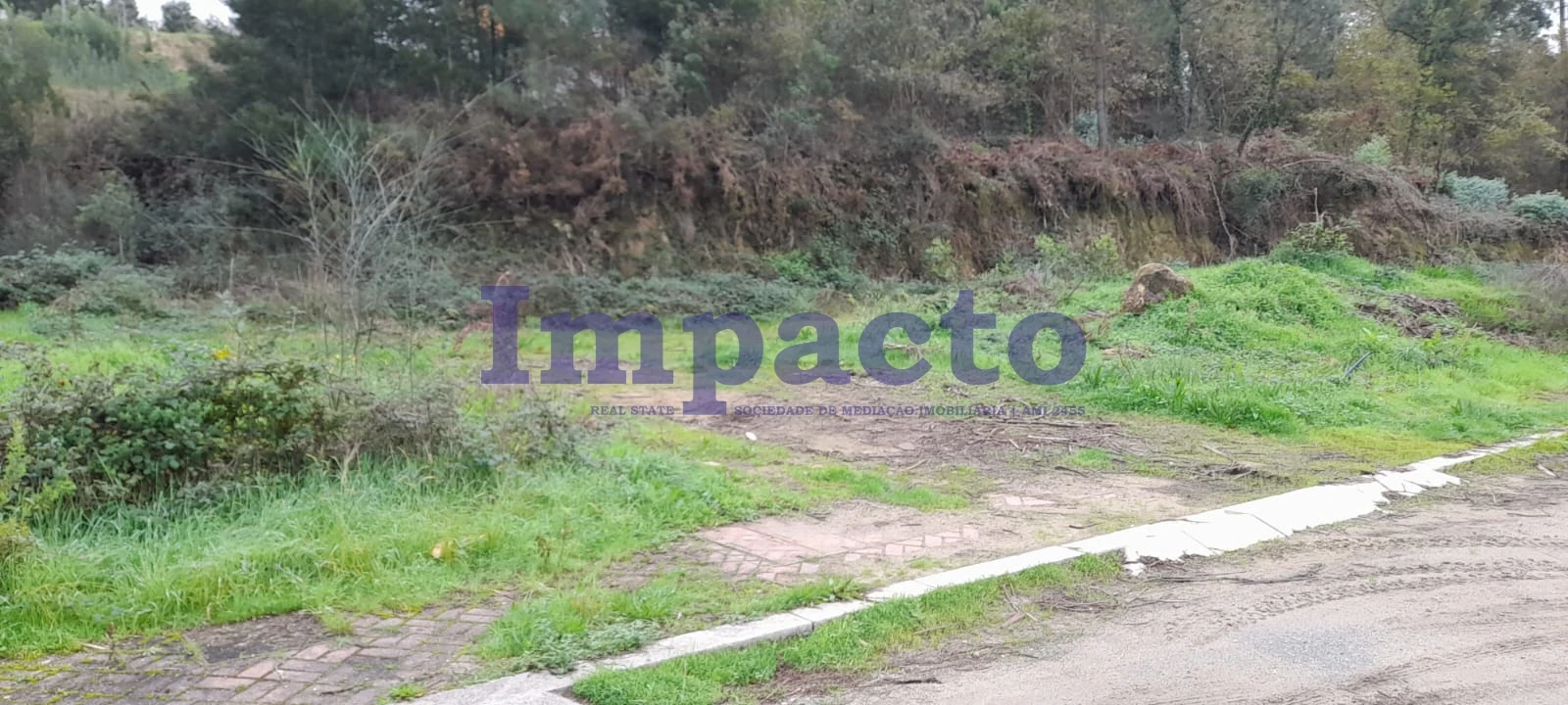 Terreno para Venda em Pinheiro da Bemposta, Travanca e Palmaz Foto 13