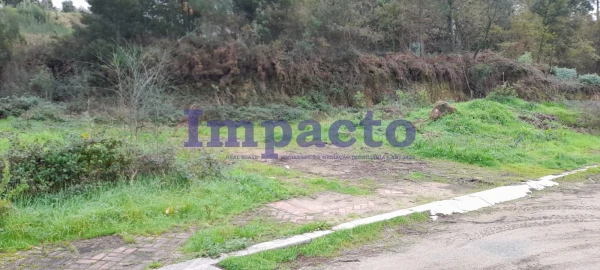 Terreno para Venda em Pinheiro da Bemposta, Travanca e Palmaz