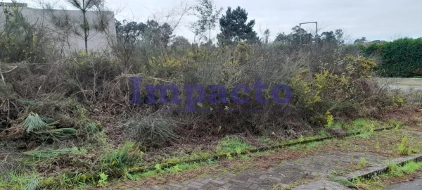 Terreno para Venda em Pinheiro da Bemposta, Travanca e Palmaz
