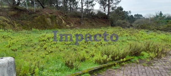 Terreno para Venda em Pinheiro da Bemposta, Travanca e Palmaz