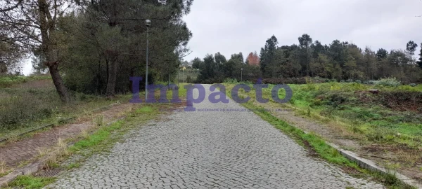 Terreno para Venda em Pinheiro da Bemposta, Travanca e Palmaz