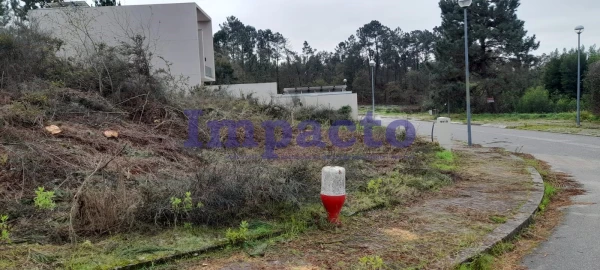 Terreno para Venda em Pinheiro da Bemposta, Travanca e Palmaz