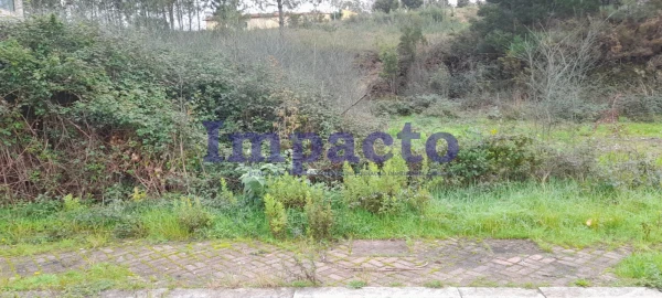 Terreno para Venda em Pinheiro da Bemposta, Travanca e Palmaz