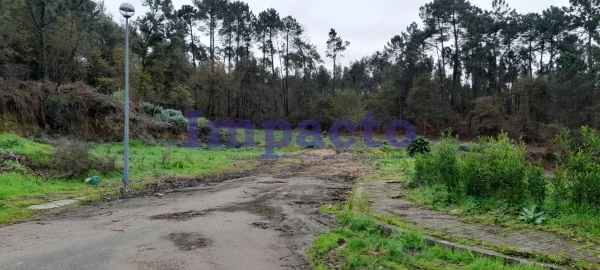 Terreno para Venda em Pinheiro da Bemposta, Travanca e Palmaz