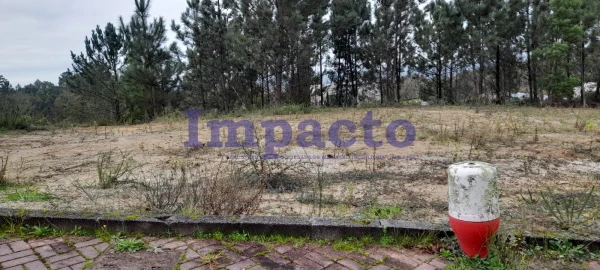 Terreno para Venda em Pinheiro da Bemposta, Travanca e Palmaz