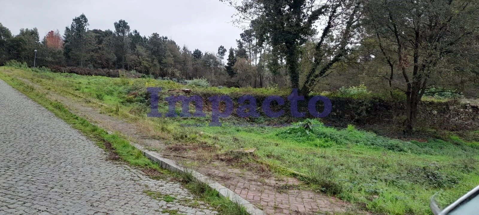 Terreno para Venda em Pinheiro da Bemposta, Travanca e Palmaz Foto 19