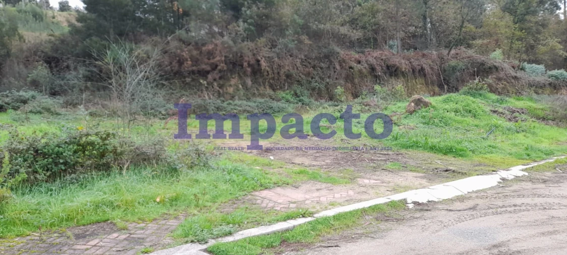 Terreno para Venda em Pinheiro da Bemposta, Travanca e Palmaz Foto 13