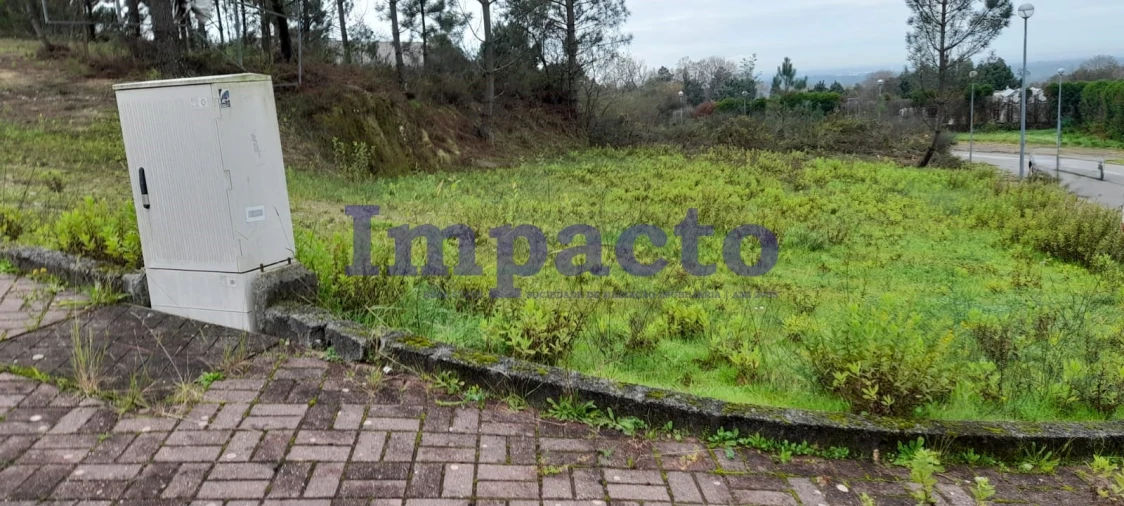 Terreno para Venda em Pinheiro da Bemposta, Travanca e Palmaz Foto 8