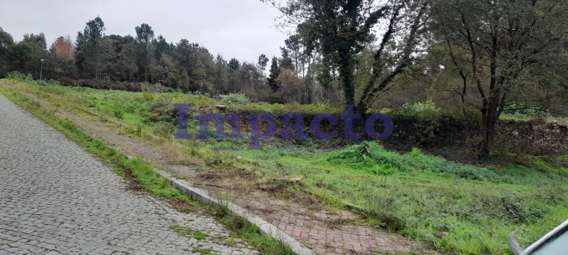 Terreno para Venda em Pinheiro da Bemposta, Travanca e Palmaz Foto 19