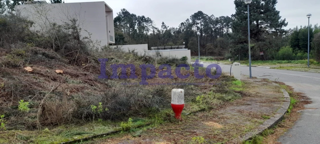 Terreno para Venda em Pinheiro da Bemposta, Travanca e Palmaz