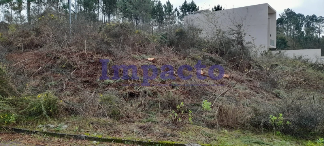 Terreno para Venda em Pinheiro da Bemposta, Travanca e Palmaz Foto 3
