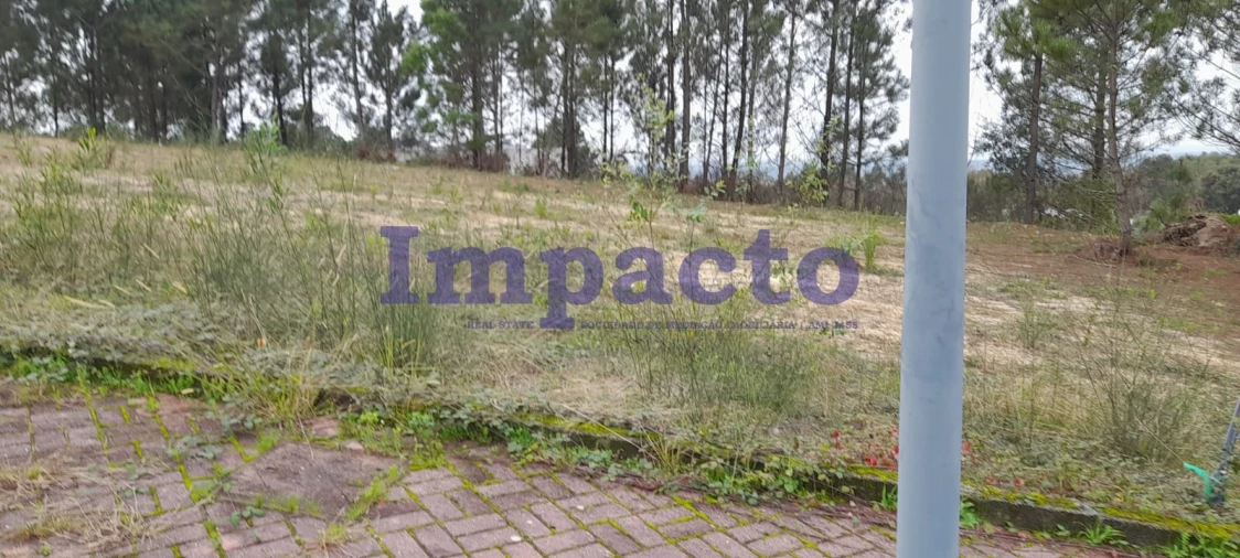 Terreno para Venda em Pinheiro da Bemposta, Travanca e Palmaz Foto 7